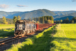Montana Rail Link SD45