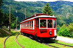 Nelson Electric Tramway Tram