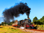 Umgeni Steam Railway Class 19D