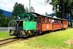 Cowichan Valley Railway TL-2