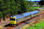 KiwiRail RM Silver Fern