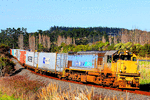 KiwiRail GT22 MC (DFT)