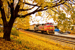 BNSF Railway Dash 8-40BW